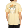 Q471A1018 AMARELO 1